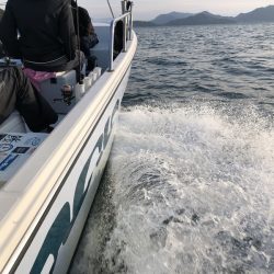 Magic(マジック) 釣果