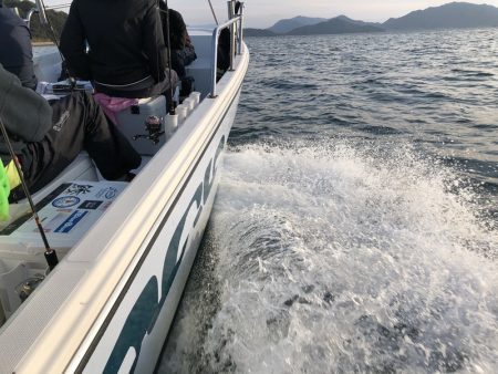 Magic(マジック) 釣果