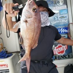 遊漁船 ニライカナイ 釣果