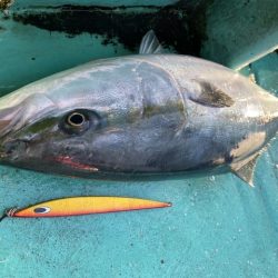 広進丸 釣果