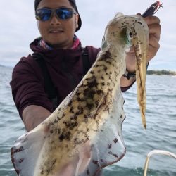 Magic(マジック) 釣果