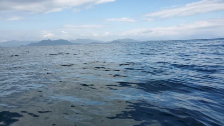 遊漁船 ニライカナイ 釣果