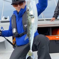 へいみつ丸 釣果