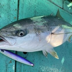 広進丸 釣果