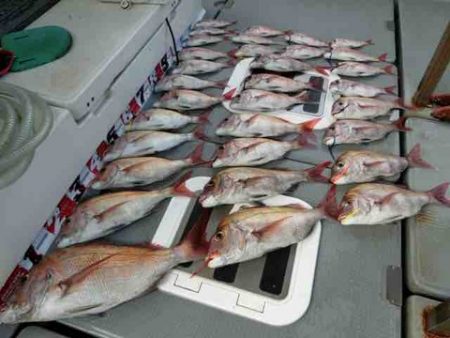 遊漁船 セトマリン 釣果