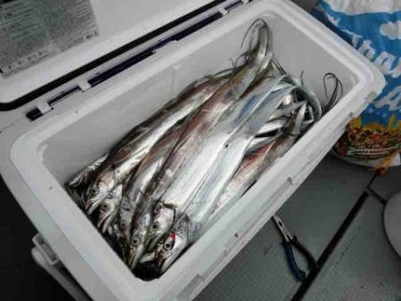 遊漁船 セトマリン 釣果