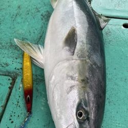 広進丸 釣果