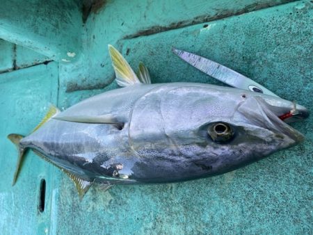広進丸 釣果