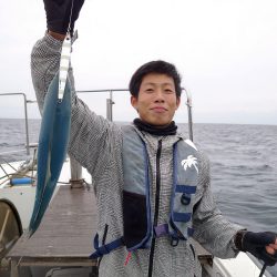 ブルーズ 釣果