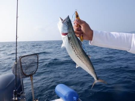 開進丸 釣果