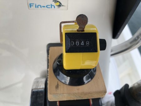 Magic(マジック) 釣果