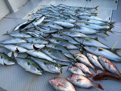 ミタチ丸 釣果