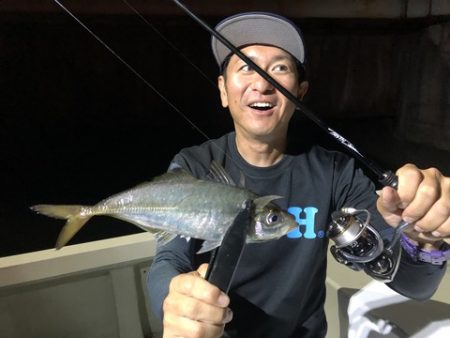 Rush(ラッシュ) 釣果