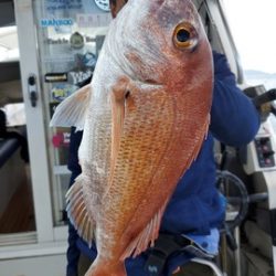 遊漁船 ニライカナイ 釣果