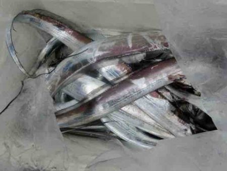 遊漁船 セトマリン 釣果