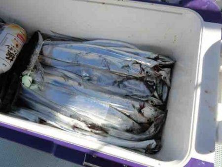 遊漁船 セトマリン 釣果