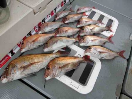 遊漁船 セトマリン 釣果