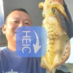 遊漁船 ニライカナイ 釣果