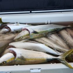 遊漁船 ニライカナイ 釣果