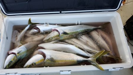 遊漁船 ニライカナイ 釣果