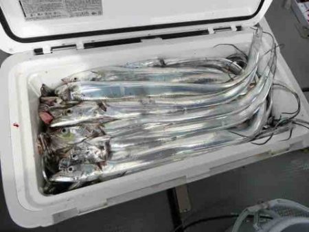 遊漁船 セトマリン 釣果