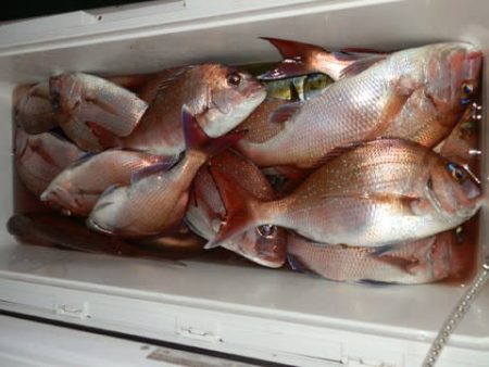 第二むつ漁丸 釣果