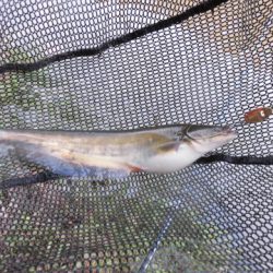 OLAHO　FISHING SPOT 釣果