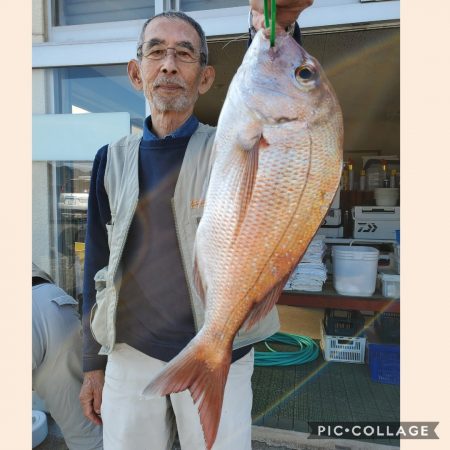 桑田観光 釣果