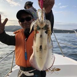 Magic(マジック) 釣果