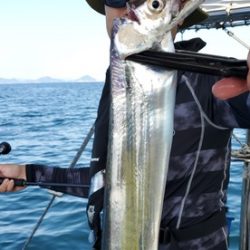 遊漁船　ニライカナイ 釣果