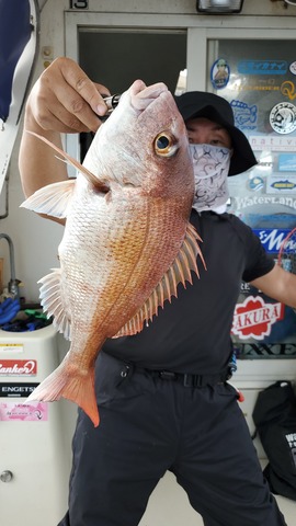 遊漁船 ニライカナイ 釣果
