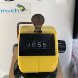 Magic(マジック) 釣果