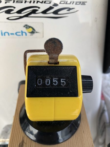 Magic(マジック) 釣果