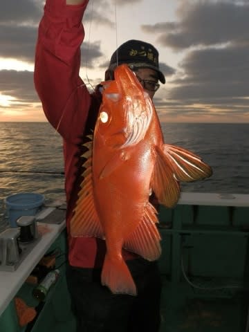 第二むつ漁丸 釣果