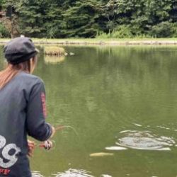 フィッシング サンクチュアリ 釣果