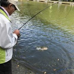 フィッシング サンクチュアリ 釣果