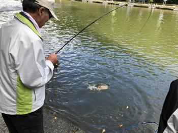 フィッシング サンクチュアリ 釣果