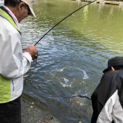 フィッシング サンクチュアリ 釣果