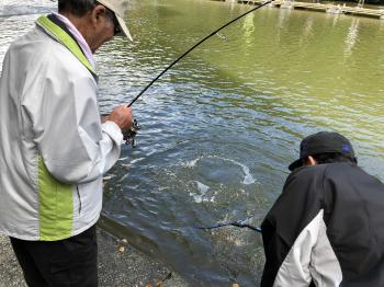 フィッシング サンクチュアリ 釣果