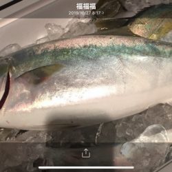 海夢偉 釣果