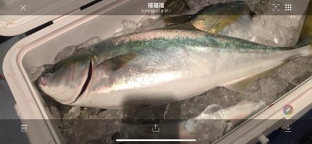 海夢偉 釣果