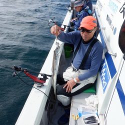 遊漁船 遊友 釣果