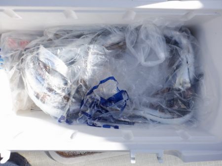 遊漁船 遊友 釣果