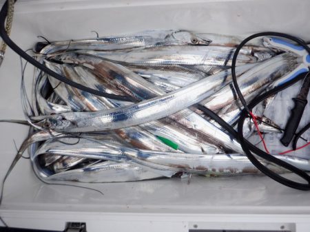 遊漁船 遊友 釣果