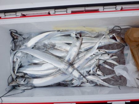 遊漁船 遊友 釣果