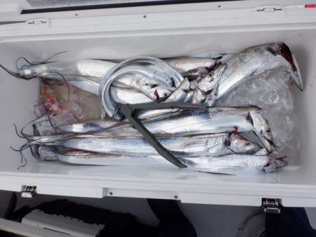 遊漁船 遊友 釣果