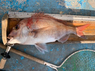 幸吉丸 釣果