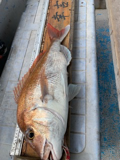 幸吉丸 釣果