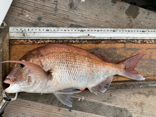 幸吉丸 釣果