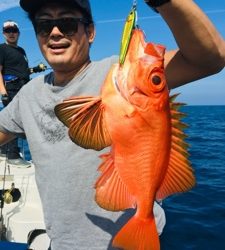 シーモンキー 釣果